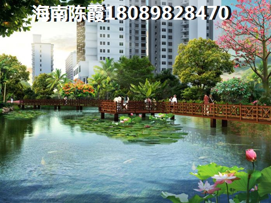 庆阳XG吗